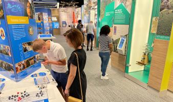 Visitors inspect galleries in DEA Museum.