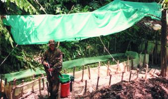 A DEA agent in a Peruvian jungle