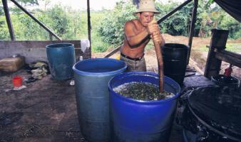 A worker in a jungle cocaine laboratory.