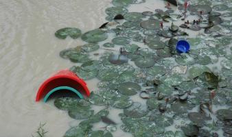 A bucket and other plastic waste floating in dirty water. 