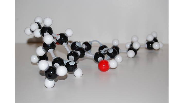 A THC molecule model