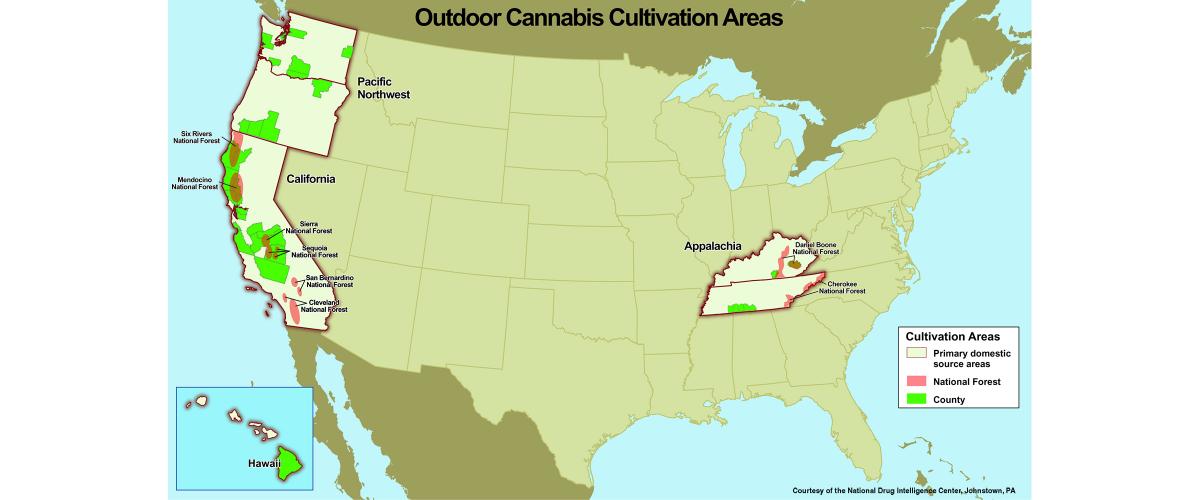 A map of cannabis grown in national parks