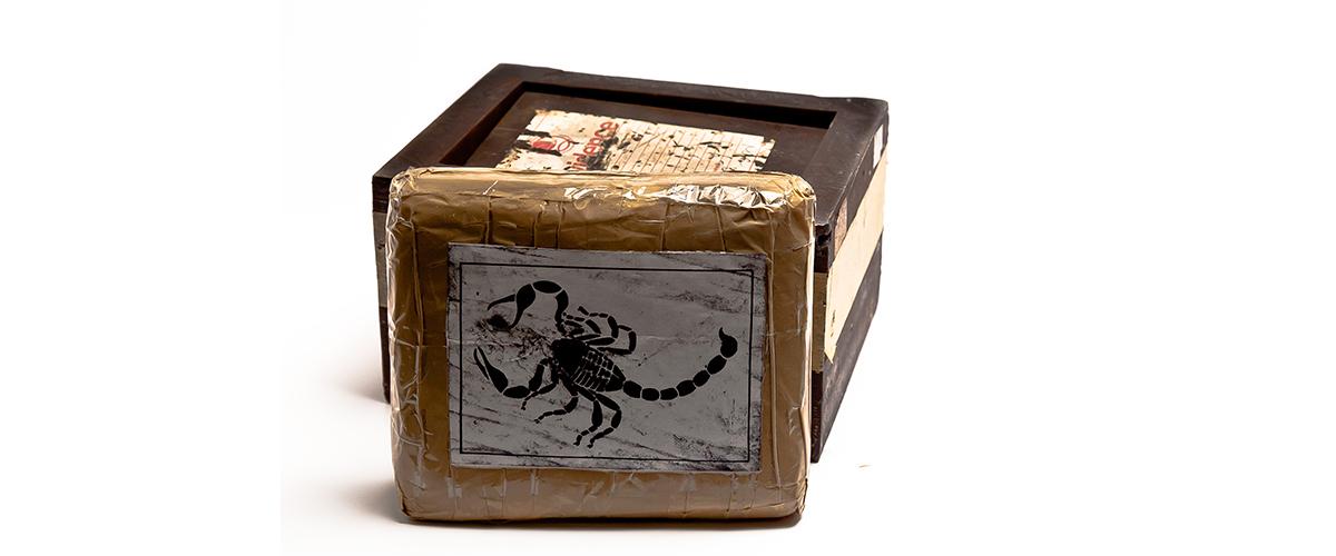 A processed and packaged brick of cocaine