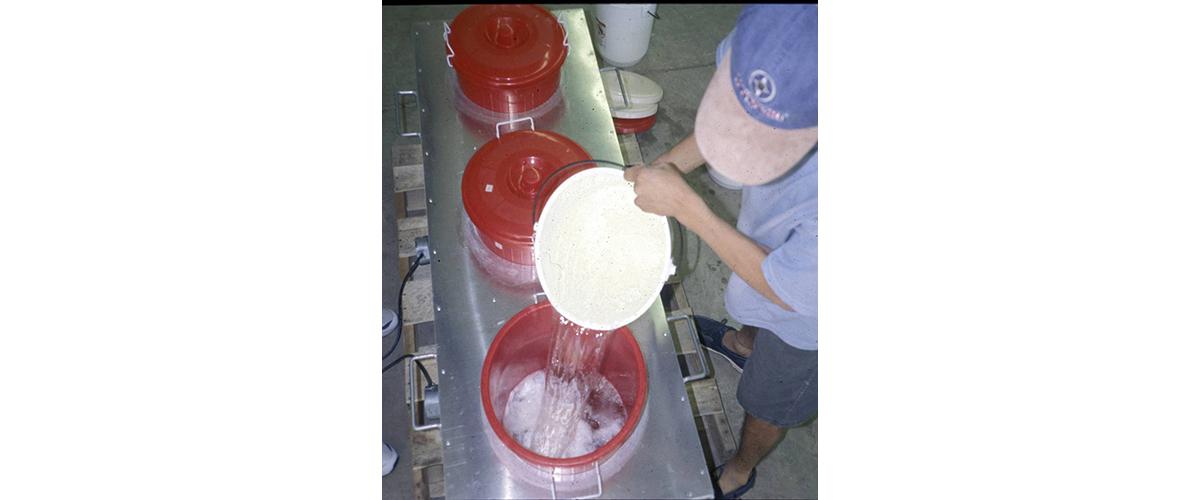 A person pouring hot water into a bucket.