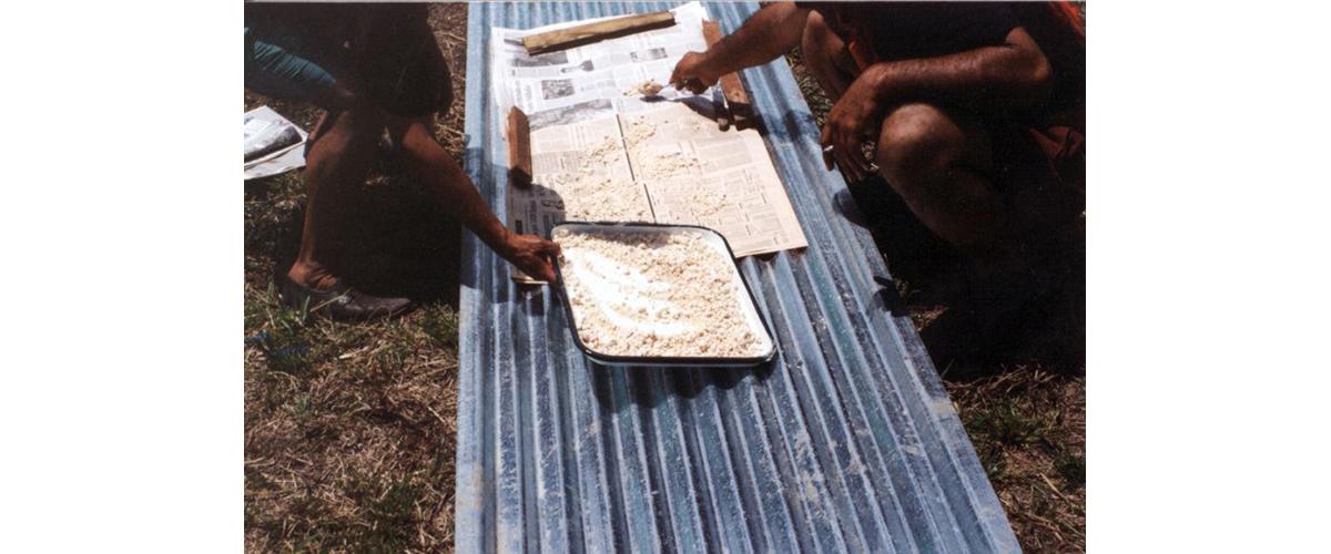 People gathering dried cocaine onto a tray.