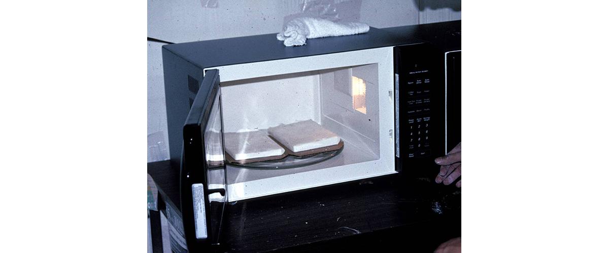 A microwave oven with two blocks of powder cocaine inside