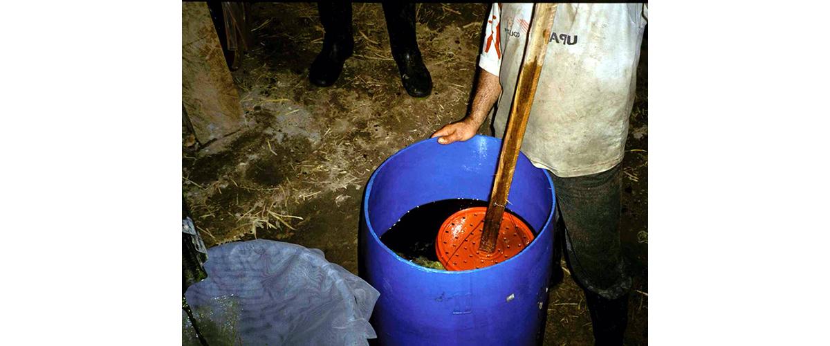 A person filtering cocaine alkaloid into a barrel.