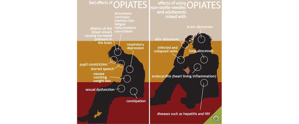 A graphic outlining the bad effects of opiates on the human body