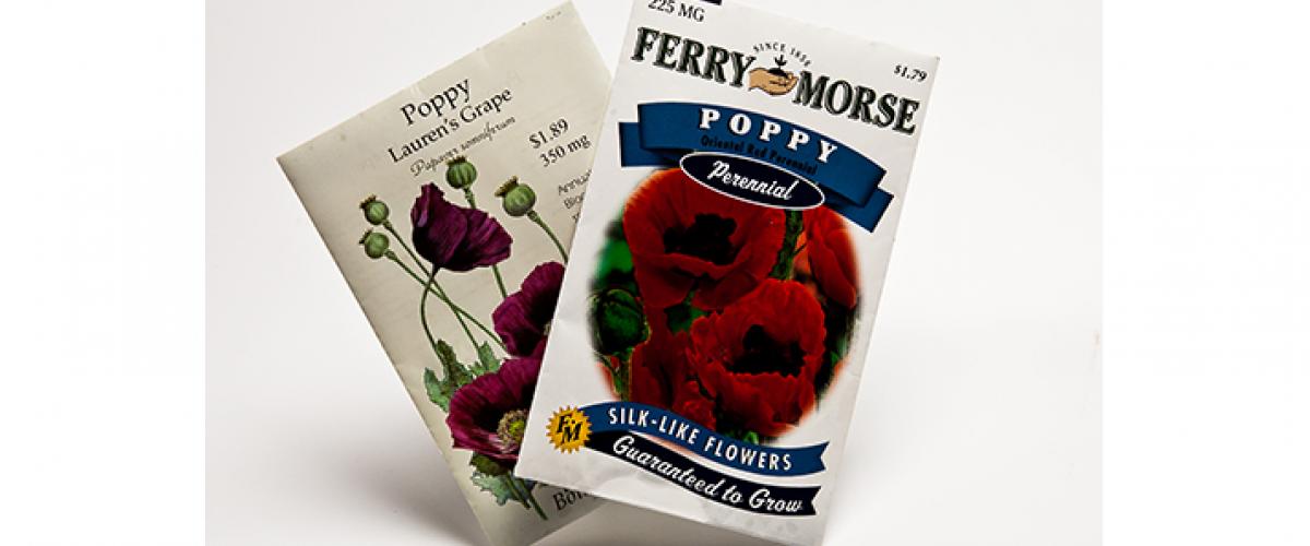 Two bags of opium flower poppy seeds