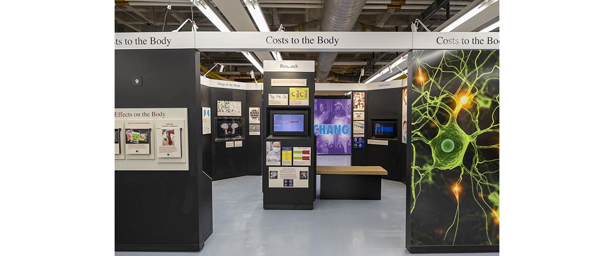 A Museum exhibit with content on science and the human body.