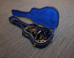 guitar in hard case